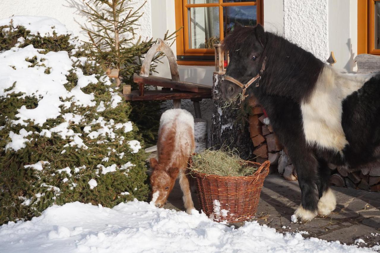 Ferienhof Obergasser Und Bergblick ไวส์เซินซี ภายนอก รูปภาพ